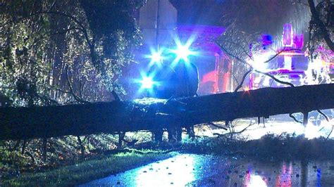 Overnight Storm Topples Trees Knocks Out Power Coastal Flooding Reported