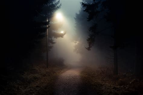 Dirt Road In A Dark And Foggy Forest Getty Images Gallery