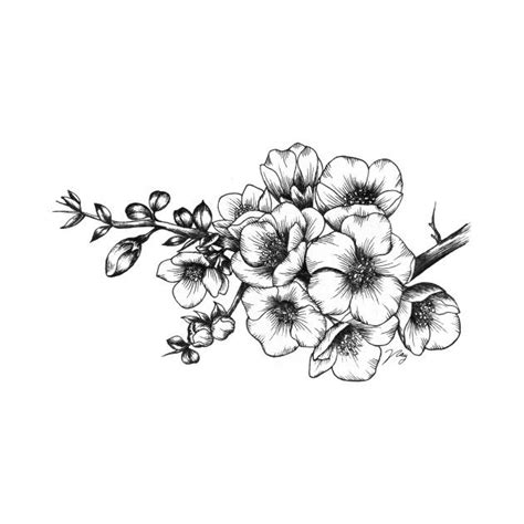 Update 80 Tattoo Hawthorn Flower Best In Eteachers