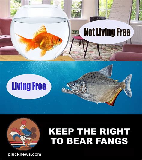 Be A Free Fish Meme By Plucknews Memedroid