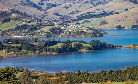 Akaroa Day Trip From Christchurch On Tourmega Tourmega