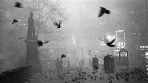 London Der Große Smog Von London 1952 Bilder Einer Katastrophe Sternde