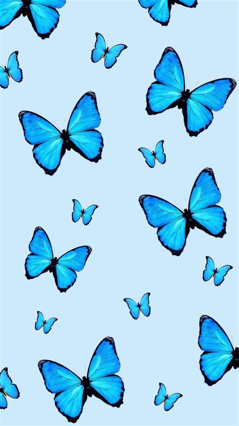 Pin By Olivia On Wallpaper Blue Butterfly Wallpaper Butterfly