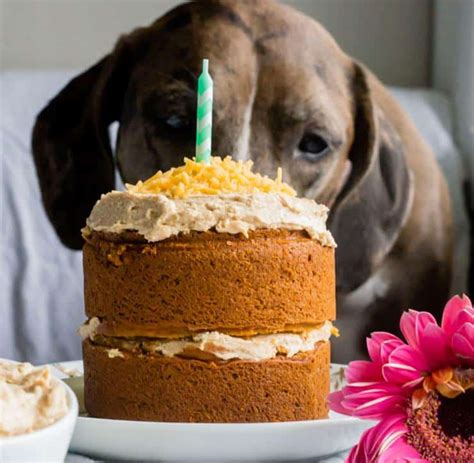 14 Dog Birthday Cake & Cupcake Homemade Recipes | PlayBarkRun
