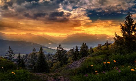 Sunshine Switzerland Light Flower Valley Glow Countryside Mountain
