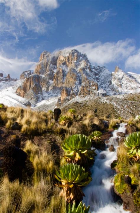 African Ascent A Moment Of Joy And Tears On Mount Kenya Artofit