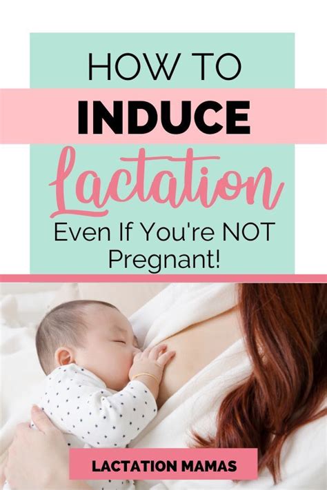How Do You Induce Lactation If Youre Not Pregnant Lactation Mamas