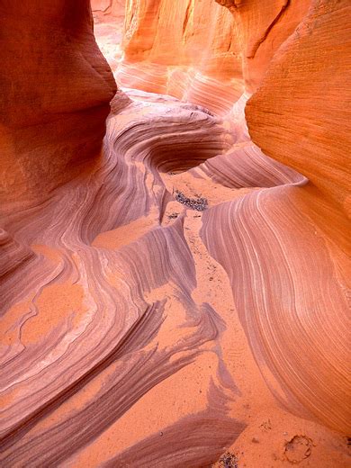 West Fork Of Upper Water Holes Canyon Page Arizona