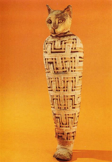 Mummy Of An Egyptian Cat From The British Museum The Pattern Of The Bandaging Is