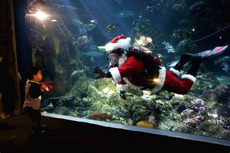 Canada Vancouver Aquarium Christmas