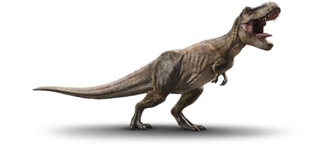 Tyrannosaurus Dinossauro Png