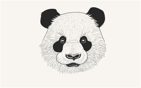 Wallpaper Ilustrasi Gambar Kartun Panda Seni Binatang Menyusui