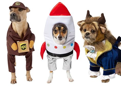 40 Funny Dog Halloween Costumes For The Silliest Pup You Know