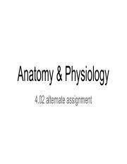Anatomy Physiology Anemia Pdf Anatomy Physiology Alternate Assignment What Is