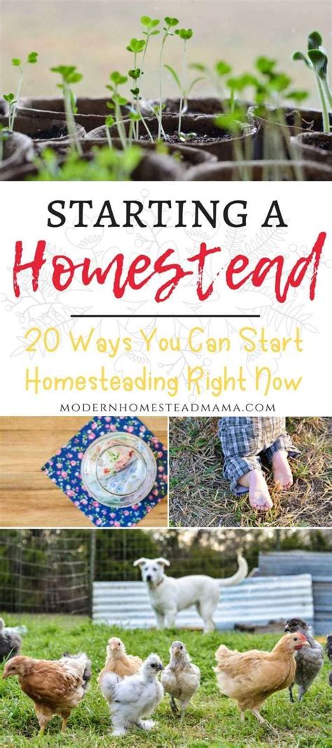 Starting A Homestead 20 Ways You Can Start Homesteading Right Now