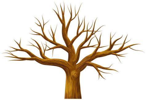 2400 Background Of The Tree No Leaves Illustrations Royalty Free