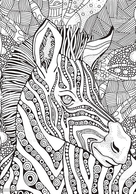 Coloring Book Page For Adult And Children Zebra Stock