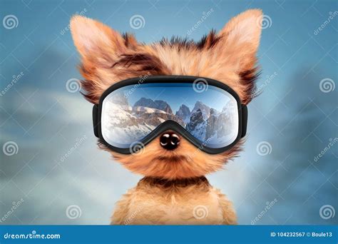 Funny Dog Wearing Ski Goggles Christmas Concept Stock Illustration