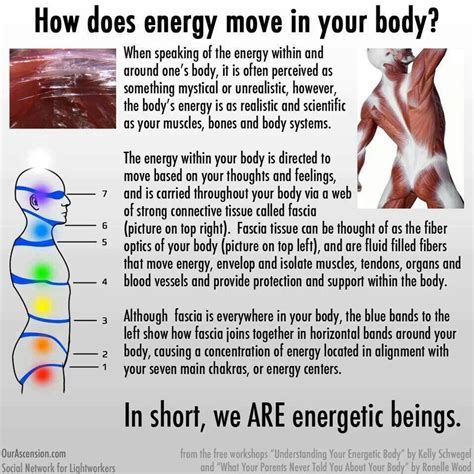 Energy In Our Bodies Healthy Living Pinterest