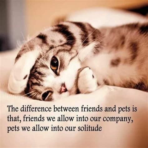Pin By Raquel Decker On Cats History Projects Pets Animals