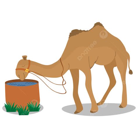 Gambar Cartoon Arabian Unta Minum Arab Unta Satwa Png Dan Vektor