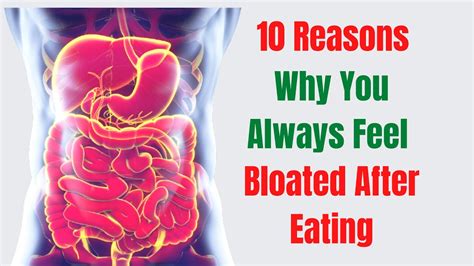 bloated stomach after eating here is 10 reasons why you always feel bloated youtube