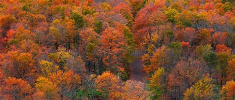 Fall Foliage At Black River National Forest Of Michigan Upper Peninsula