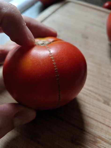 Tomato That Looks Like It Was Stitched Together Rmildlyinteresting