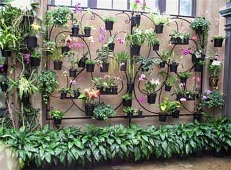 This urban oasis is a veritable hidden gem in downtown miami, featuring a covered outdoor terrace and garden replete with orchids and flourishing tropical plants. 20+ Pretty Hanging Orchid Ideas To Decorating Your House | Hanging orchid, Orchid house, Orchids ...