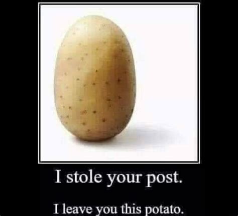 I Stole Your Post I Leave You This Potato Ifunny