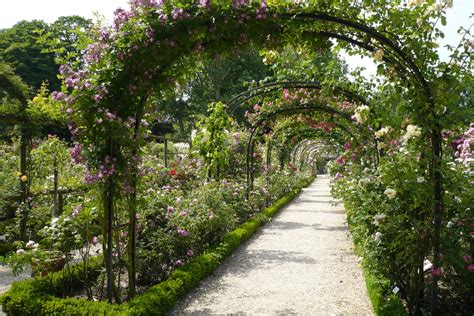 Le Jardin De Pacalou Un Jardin De Roses