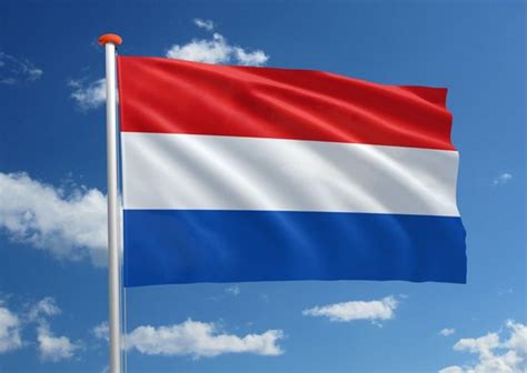Nederlandse Vlag X Cm Bestel Nu