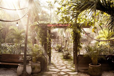 Enjoy The Jungle At Gitano Tulum Inmexico