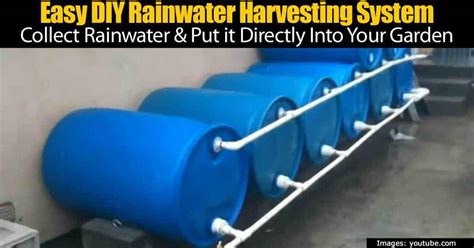 Easy Diy Rainwater Harvesting System Collect Rainwater And Put It