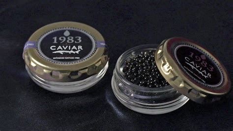 We did not find results for: Japan's caviar set to give Russia a run for its money - BBC News