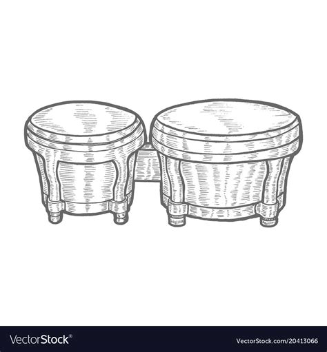 Bongo In Hand Drawn Style Royalty Free Vector Image