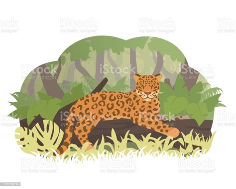 Cartoon Jaguar Lying On A Tree In Jungle Vector Illustration Rainforest