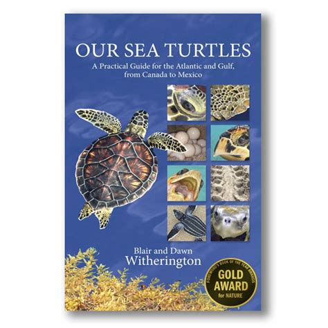 Our Sea Turtles A Practical Guide For The Atlantic