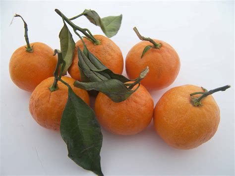 What is a Satsuma Mandarin (And When to Find Them) - Eat Like No One Else