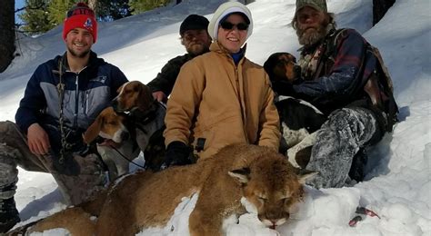 Hunting Cougars With Hounds In Idaho For 3 Unforgettable Days Fin