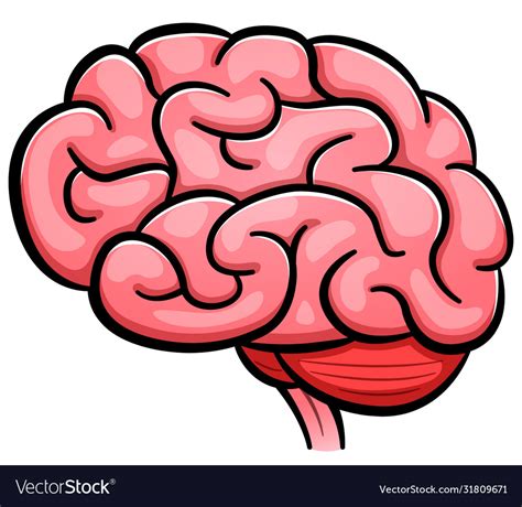 Human Brain Cartoon Isolated Royalty Free Vector Image