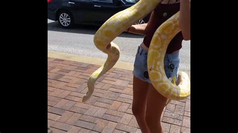 Big Snake Small Girl Youtube