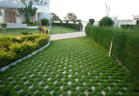 Great Pavers With Grass In Between Designs That Inspire My Xxx Hot Girl