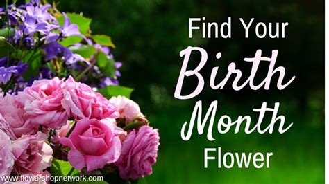 Each month has it's own birth flower, just like birthstones. Find Your Birth Month Flower
