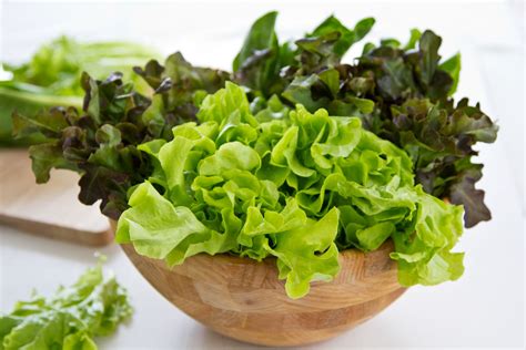 How To Store Lettuce To Keep It Fresh And Crisp