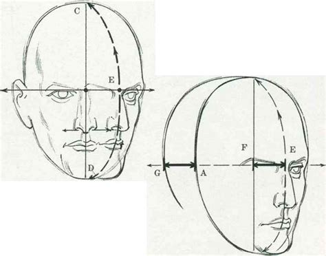 Three Quarter View Drawing The Human Head Joshua Nava Arts