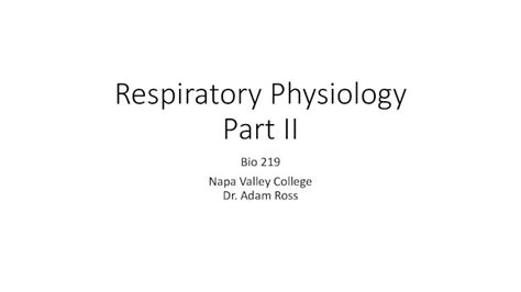 Pdf Respiratory Physiology Part Ii Napa Valley Collegerespiratory
