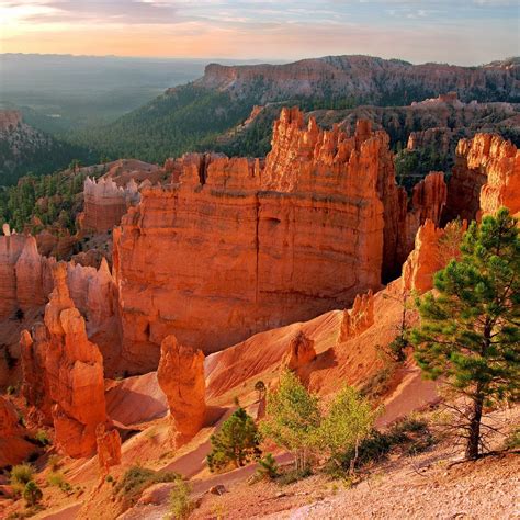 Sunset Point Bryce Canyon National Park 2021 What To Know Before