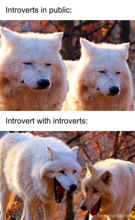 Of The Most Painfully Relatable Memes For Introverts As Shared On