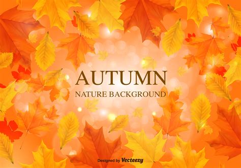 Fall Background Vector Leaves Download Free Vector Art